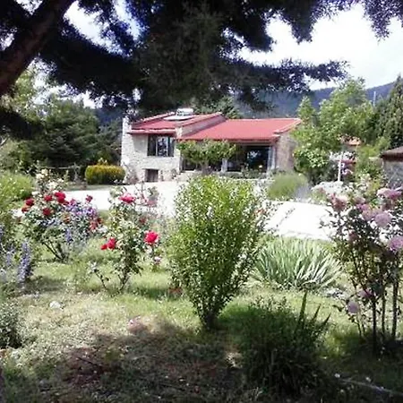 Yades * Arachova